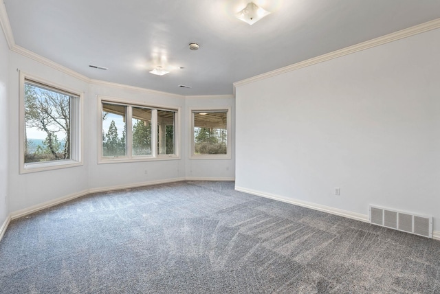 carpeted empty room with ornamental molding and plenty of natural light