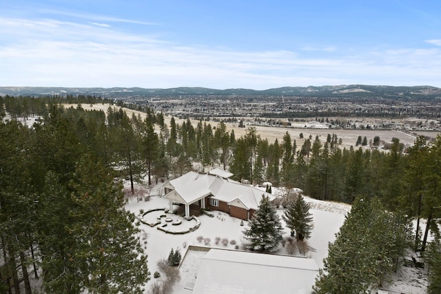 birds eye view of property with a mountain view