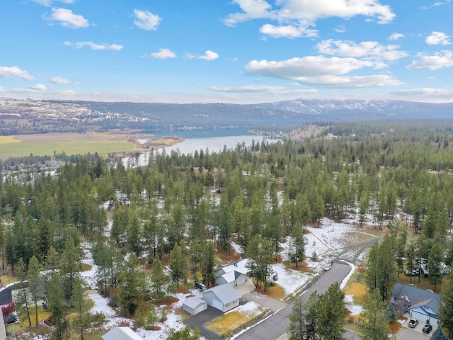 bird's eye view with a water and mountain view