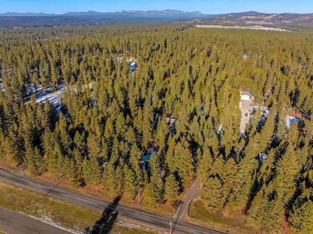 7001 E Chattaroy Rd, Chattaroy, WA 99003 - photo 48