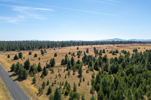 NKA W Slaton Ln Lot 34, Deer Park, WA 99006 - photo 14