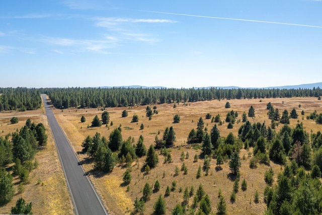 NKA W Slaton Ln Lot 34, Deer Park, WA 99006 - photo 15