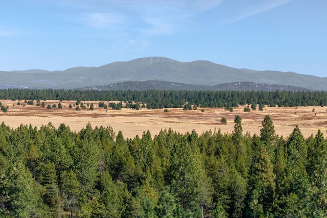NKA W Slaton Ln Lot 34, Deer Park, WA 99006 - photo 19