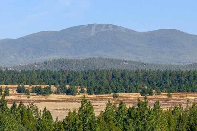 NKA W Slaton Ln Lot 34, Deer Park, WA 99006 - photo 20