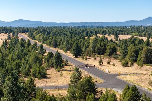 NKA W Slaton Ln Lot 34, Deer Park, WA 99006 - photo 23