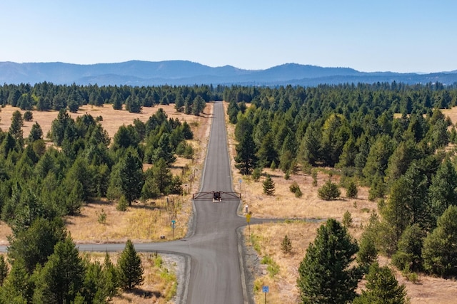 NKA W Slaton Ln Lot 34, Deer Park, WA 99006 - photo 24