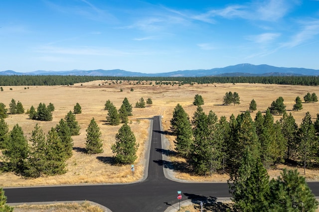 NKA W Slaton Ln Lot 34, Deer Park, WA 99006 - photo 5