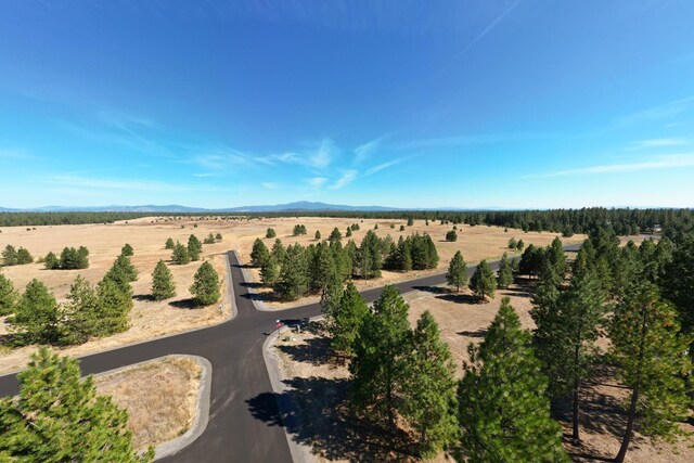 NKA W Slaton Ln Lot 34, Deer Park, WA 99006 - photo 6