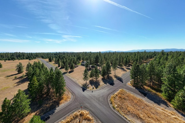 NKA W Slaton Ln Lot 34, Deer Park, WA 99006 - photo 7