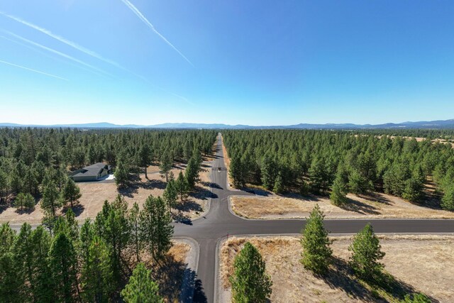 NKA W Slaton Ln Lot 34, Deer Park, WA 99006 - photo 8