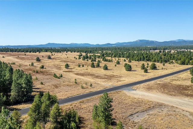 NKA W Slaton Ln Lot 34, Deer Park, WA 99006 - photo 10