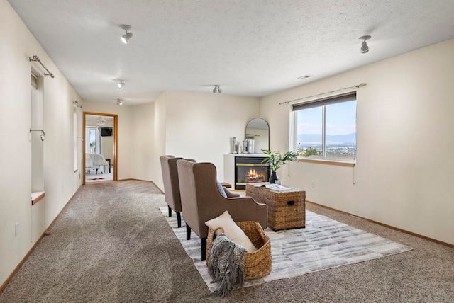 carpeted office space with a textured ceiling