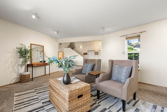 sitting room with carpet floors