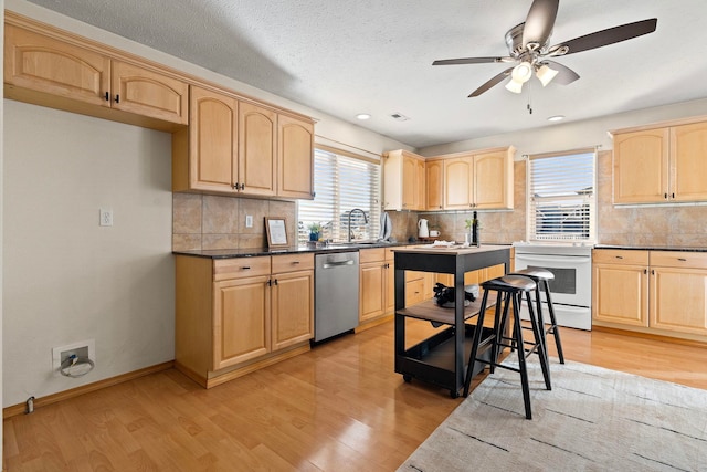 kitchen featuring stainless steel dishwasher, light hardwood / wood-style floors, light brown cabinets, and a wealth of natural light