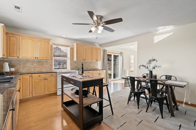 kitchen with tasteful backsplash, plenty of natural light, white electric range, and light brown cabinets