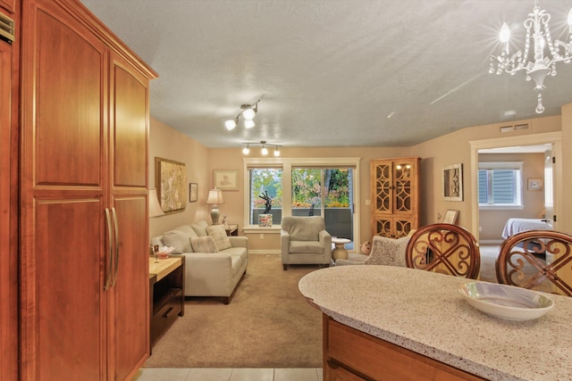 carpeted living room with rail lighting and a textured ceiling