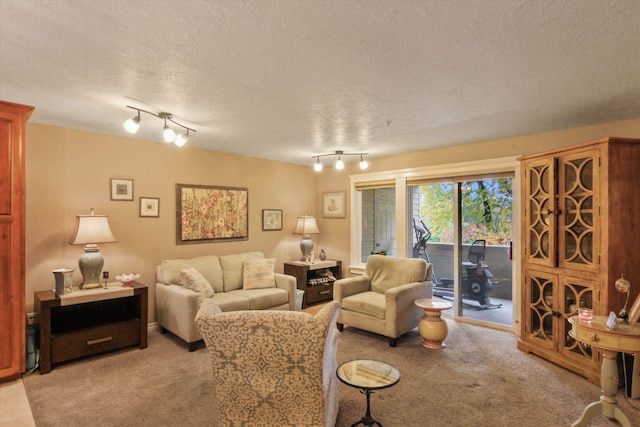 carpeted living room with a textured ceiling