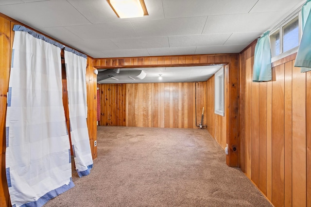 basement with wooden walls and carpet flooring