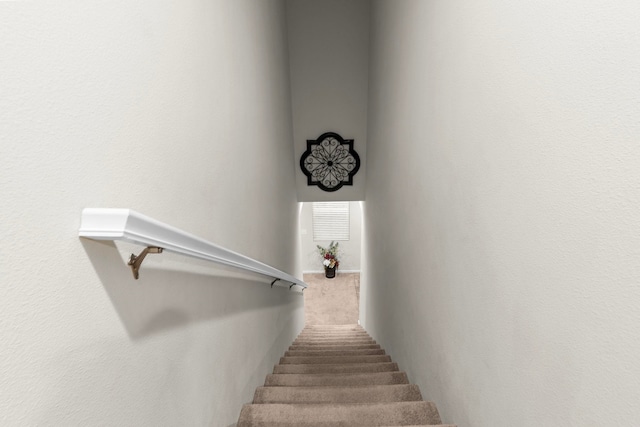 bedroom featuring multiple windows, light carpet, and baseboards