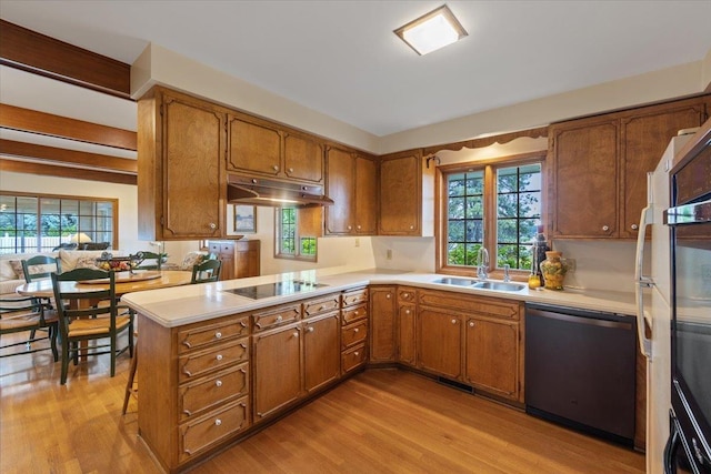 kitchen featuring dishwashing machine, sink, black electric cooktop, kitchen peninsula, and light wood-type flooring