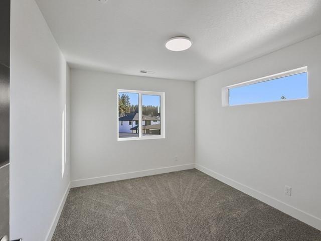 unfurnished room featuring a healthy amount of sunlight and carpet