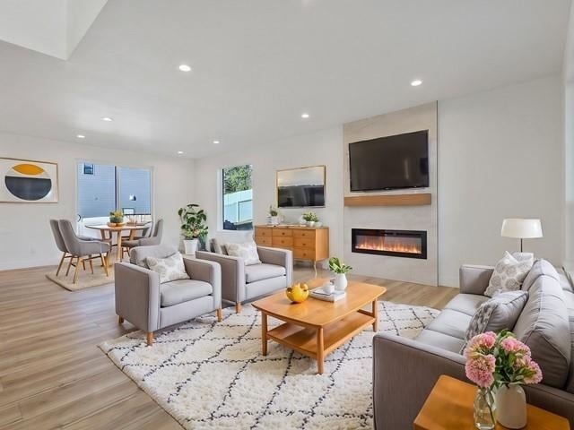 living room featuring light hardwood / wood-style floors