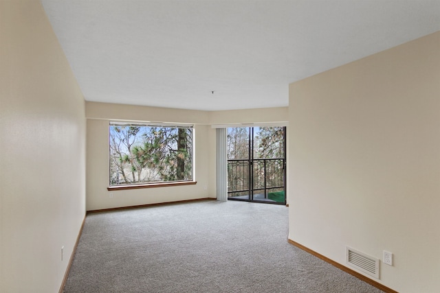 spare room featuring carpet flooring