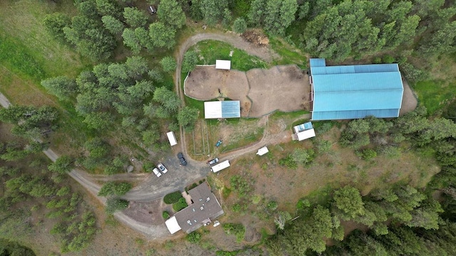 drone / aerial view