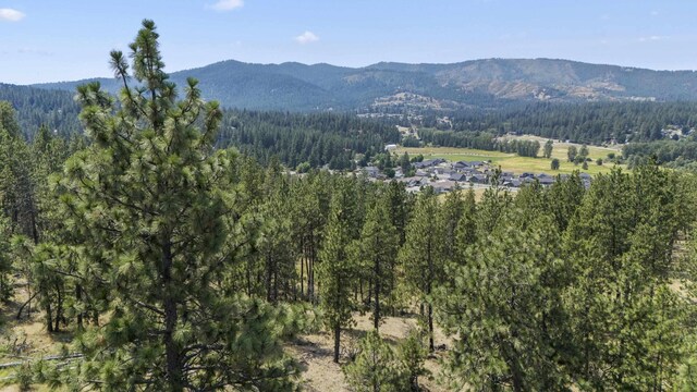 12712 E Chester Ridge Ln Lot 7, Spokane, WA 99206