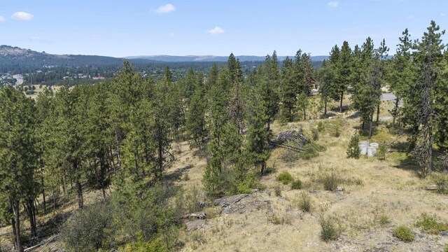 12712 E Chester Ridge Ln Lot 7, Spokane, WA 99206