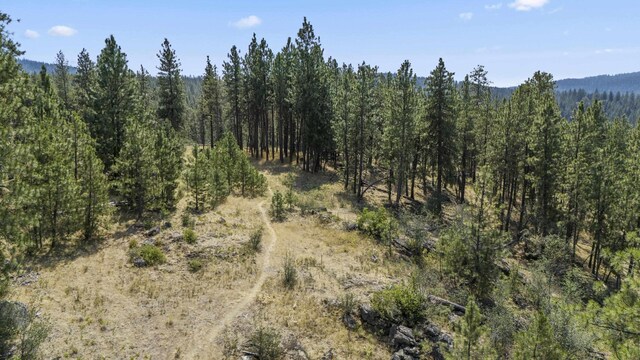 12712 E Chester Ridge Ln Lot 7, Spokane, WA 99206