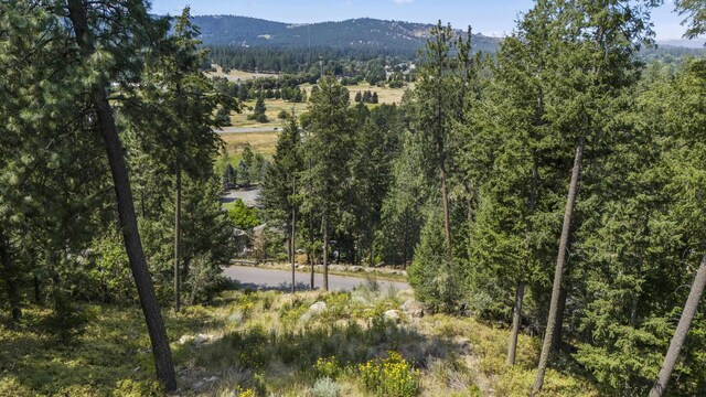 12712 E Chester Ridge Ln Lot 7, Spokane, WA 99206