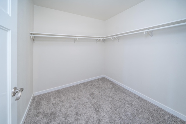 walk in closet with carpet