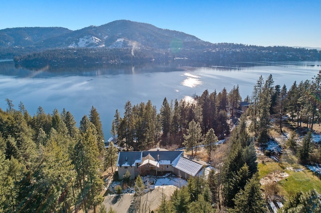 birds eye view of property featuring a water and mountain view