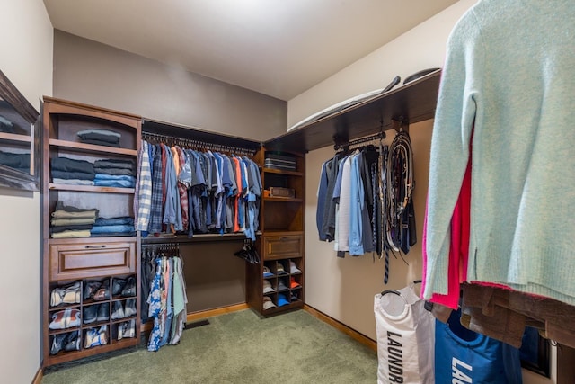 spacious closet with carpet flooring