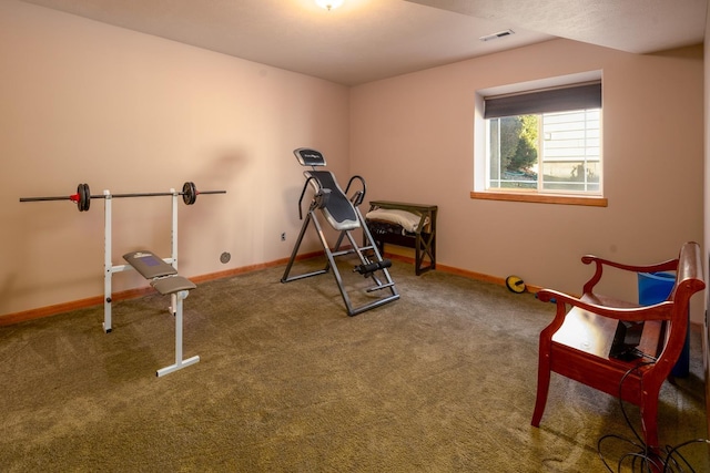 exercise area with carpet flooring