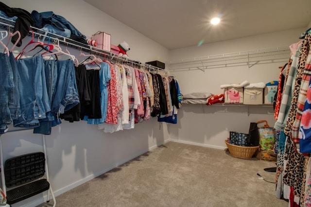 walk in closet featuring carpet flooring