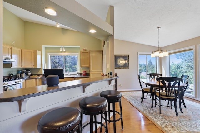 kitchen with vaulted ceiling, light brown cabinets, a textured ceiling, and a kitchen breakfast bar