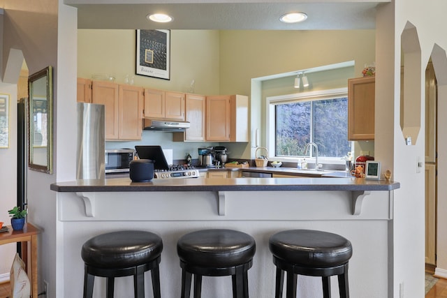 kitchen with appliances with stainless steel finishes, a kitchen breakfast bar, kitchen peninsula, and light brown cabinets