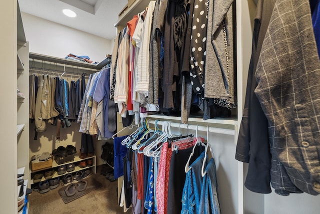 spacious closet featuring carpet flooring