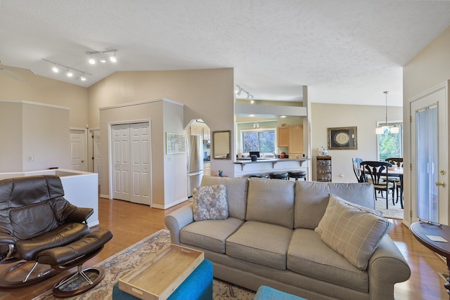 living room featuring lofted ceiling, a wealth of natural light, a textured ceiling, and light wood-type flooring