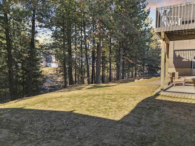 view of yard