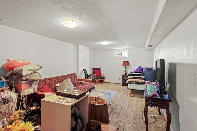 interior space with carpet and a textured ceiling