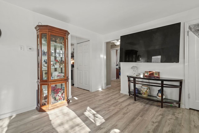 living room with light wood-type flooring