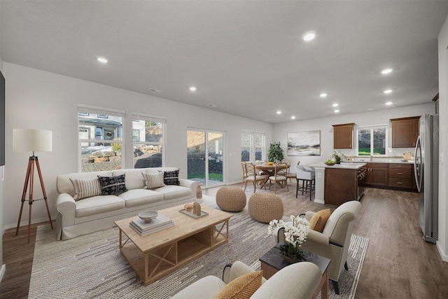 living room featuring light hardwood / wood-style flooring