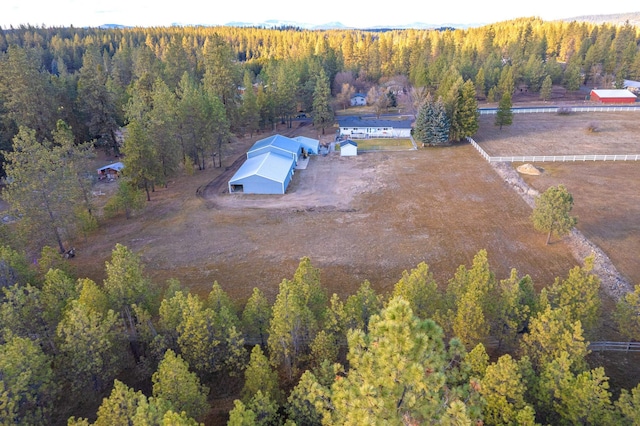 3732 E Westwood Ave, Chattaroy, WA 99003 - bird's eye view with a wooded view