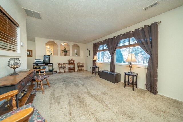3732 E Westwood Ave, Chattaroy, WA 99003 - sitting room with carpet, a textured ceiling, and visible vents