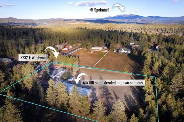 3732 E Westwood Ave, Chattaroy, WA 99003 - bird's eye view featuring a wooded view and a mountain view