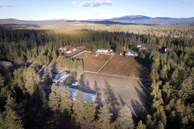 3732 E Westwood Ave, Chattaroy, WA 99003 - drone / aerial view with a view of trees and a mountain view