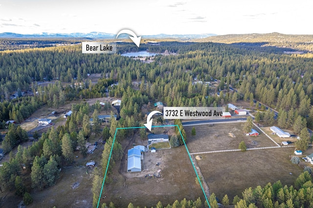 3732 E Westwood Ave, Chattaroy, WA 99003 - drone / aerial view with a mountain view and a wooded view